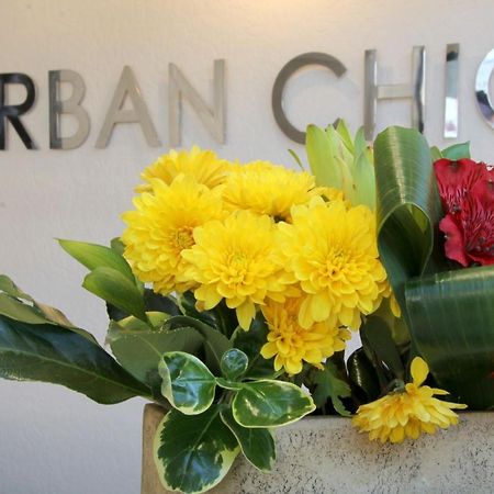 Urban Chic Boutique Hotel & Cafe Cape Town Luaran gambar